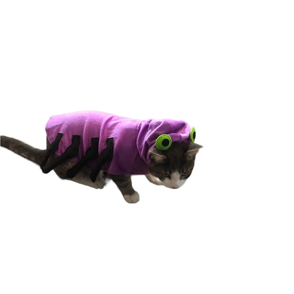 Pet costumes S-M lot of 3 - Picture 3 of 6